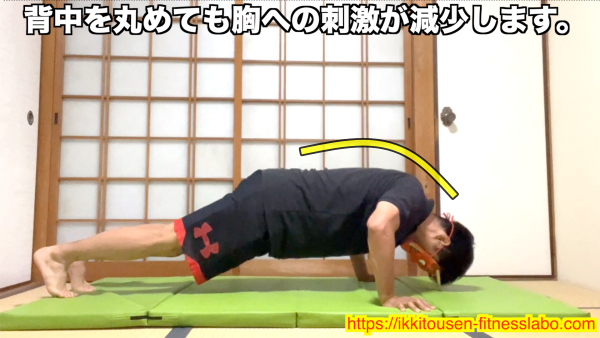 背中を丸めてしまうと肩甲骨が開いて胸に効かなくなります。 / Rounding your back during push-ups opens the shoulder blades and reduces chest activation.