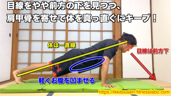 腰を反らさないように、お腹に軽く力を入れて体を一直線にキープ。目線はやや前方下にして、肩甲骨を寄せながら胸を張る。 / Keep your body in a straight line by engaging your core and avoiding lower back arching. Look slightly forward and downward while squeezing your shoulder blades together to keep your chest open.