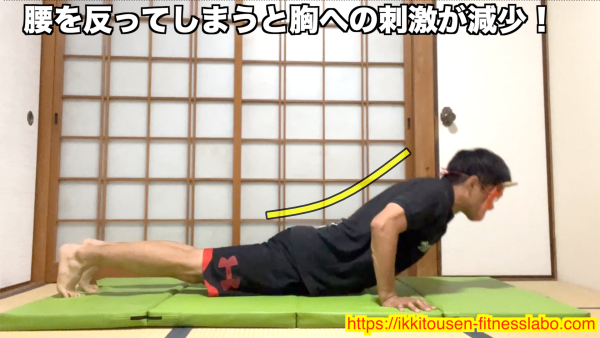 腰を反ってしまうと腹圧が抜けてフォームが崩れ、胸への刺激が減少します。お腹に力を入れて体を一直線に保ちましょう。 / Arching the lower back causes loss of core tension and reduces chest activation. Keep your abs engaged and maintain a straight line from head to heels.