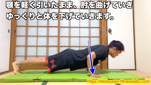 腕立て伏せで体を下ろす正しいフォーム。顎を軽く引き、肘を曲げて体を一直線に保ちながら下げている姿勢/Correct form of lowering phase in push-up, keeping body straight while bending elbows and slightly tucking chin