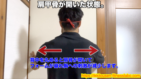 背中を丸めると肩甲骨が開き、胸を張れずにフォームが崩れ、胸への刺激が減少します。肩甲骨を軽く寄せて胸を開きましょう。 / Rounding the back causes the shoulder blades to open, collapsing the form and reducing chest activation. Keep the shoulder blades slightly retracted and open the chest.