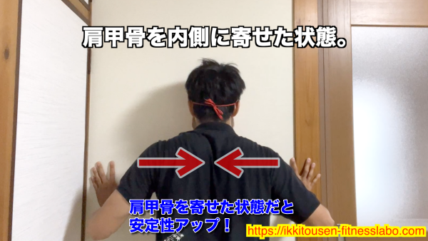 肩甲骨を内側に寄せると胸が開き、体幹の安定性が高まり、胸への刺激が強くなります。 / Retracting the shoulder blades opens the chest, increases core stability, and enhances chest activation.