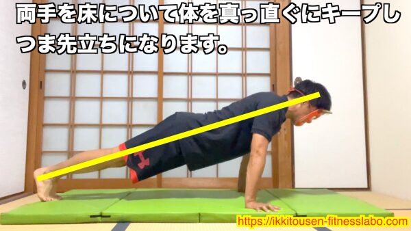 腕立て伏せの正しいスタートポジション。体を一直線にキープしてつま先立ちになっているフォーム