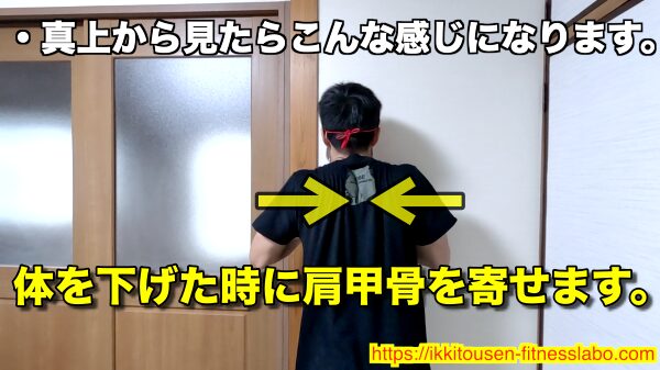 ダイヤモンドプッシュアップで体を下げた時に肩甲骨を寄せている様子を真上から撮影した画像です。