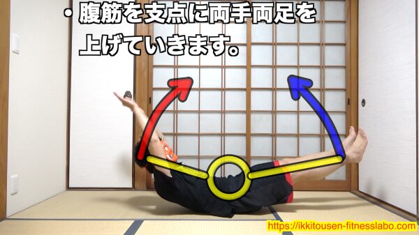 V字腹筋で腹筋を支点にしながら、両手と両足を同時に上げていく動作を横から示した画像です