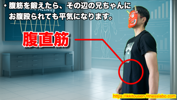 V字腹筋で主に鍛えられる腹直筋を中心に、体幹への刺激が分かる解説用イメージ